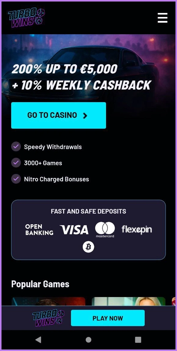 Compact overview of TurboWins main sections