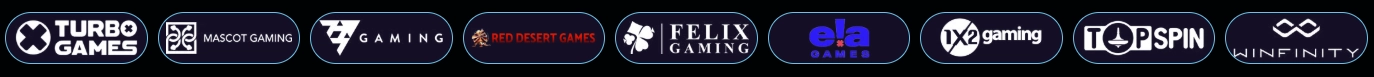 Overzicht van alle spelproviders bij TurboWins Casino